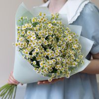 Букет Ромашек из 21 веточки