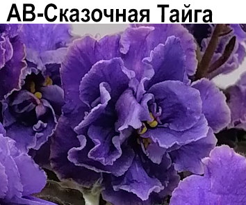 АВ-Сказочная Тайга