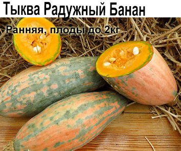 Тыква Радужный банан