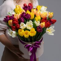 Коробка с 51 тюльпаном