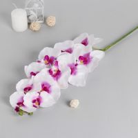 Цветы искусственные «Орхидея Галатея», h=95 см, бело-фиолетовые