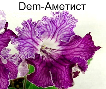 Dem-Аметист