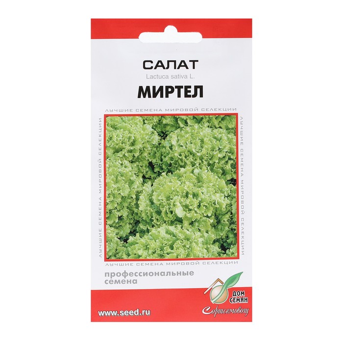 Семена Салат "Миртел",  10 шт