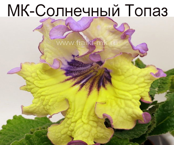 МК-Солнечный Топаз
