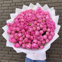 51 кустовая роза (Мисти Баблз)