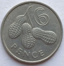 Королева Елизавета II 6 пенсов Гамбия 1966