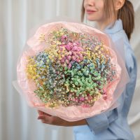 9 радужных гипсофил