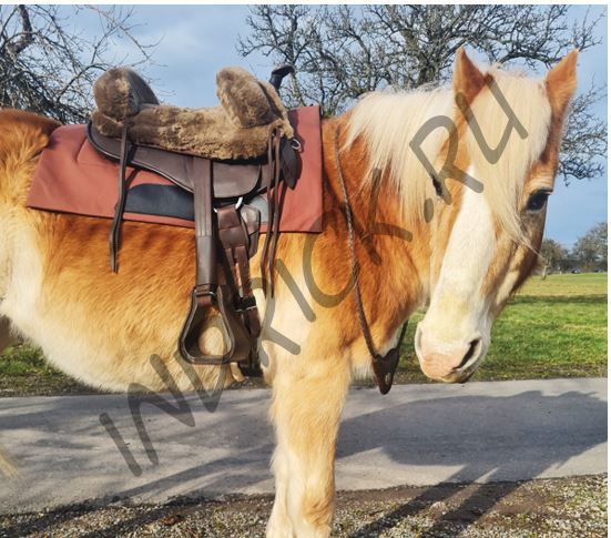 Вестерн-пад Barefoot