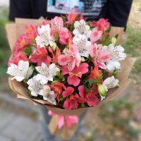 11 розовых и белых альстромерий в крафте