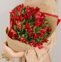 11 красных альстромерий