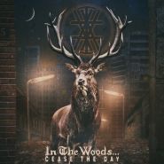 IN THE WOODS - Cease The Day CD DIGIPAK