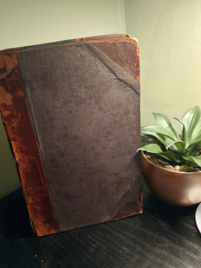 A group of nobel dames by Thomas Hardy 1891