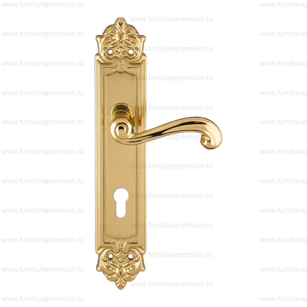 Ручка на планке Extreza Berta 312 CYL PL02