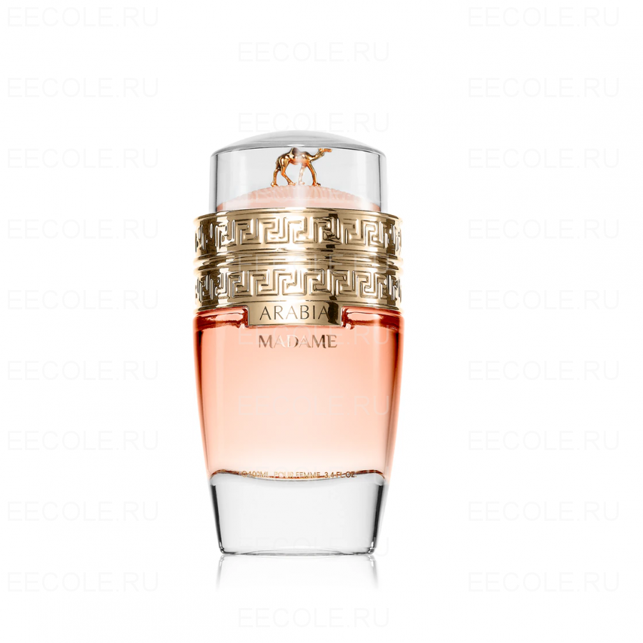 Le Chameau Arabia Madame