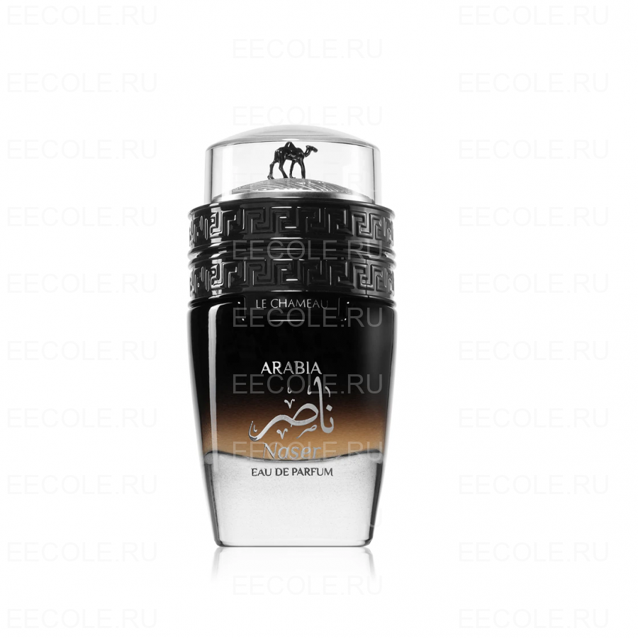 Le Chameau Arabia Naser