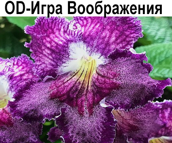OD-Игра Воображения