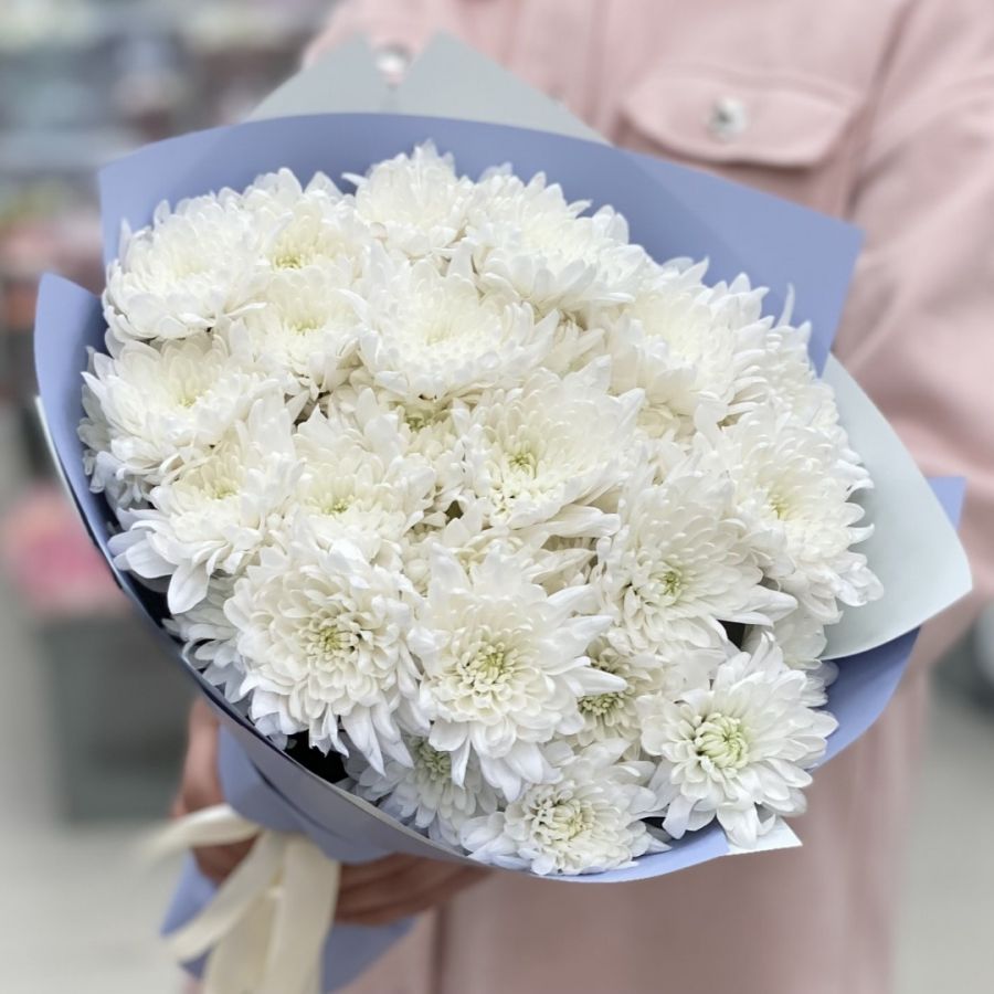 Хризантема кустовая