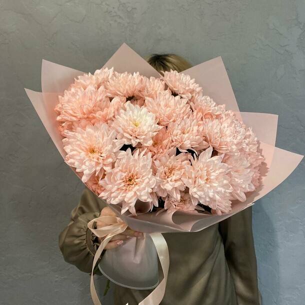 Хризантема кустовая