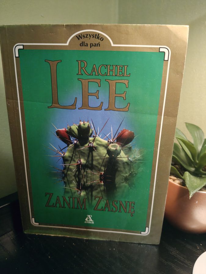 Zanim zasnę - Rachel Lee