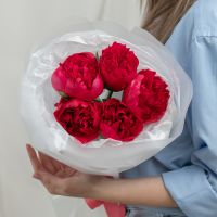 5 красных пионов