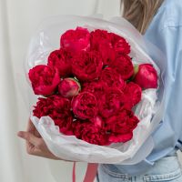 15 красных пионов