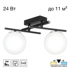Светильник Поворотный Citilux DORSY CL223122 LED Черный, Металл / Ситилюкс.