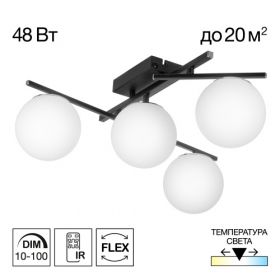 Люстра Поворотная Citilux DORSY CL223142 LED Черный, Металл / Ситилюкс