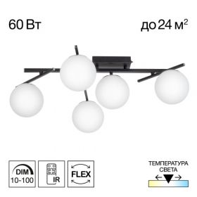 Люстра Поворотная Citilux DORSY CL223152 LED Черный, Металл / Ситилюкс