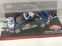 Peugeot 307 WRC  2006