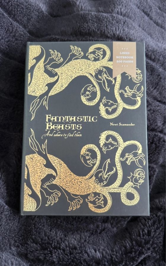 Fantastic beasts Гарри Поттер блокнот