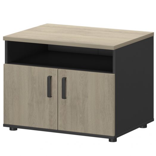 Тумба СМТ-2ДН Тип2