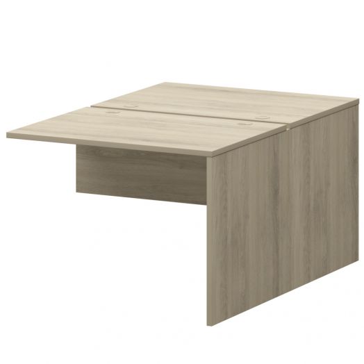 Модуль двойной СМСН25-2.10.73