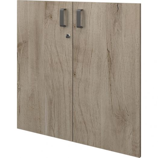 Дверь СМД-28 (СМД-28+Ф)