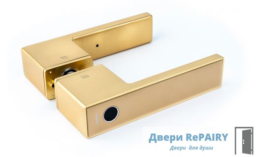 Ручка межкомнатная Gimmel F11 TTLock, DM60, золото