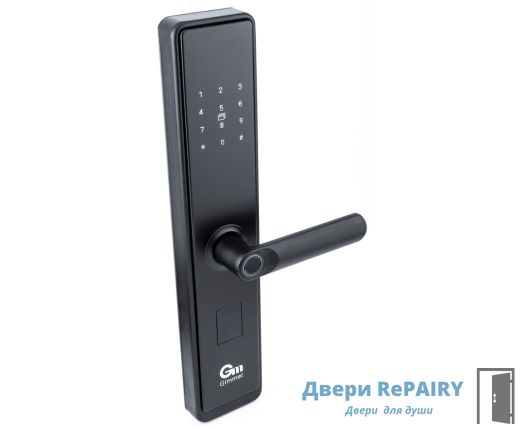 ЗАМКИ НА ВХОДНЫЕ ДВЕРИ Gimmel F20 TTLock, DM60, черный
