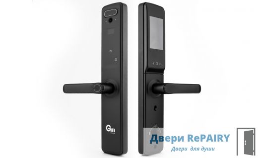 ЗАМКИ НА ВХОДНЫЕ ДВЕРИ Gimmel F30 Tuya, DM60, черный
