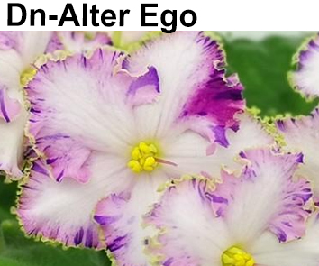 Dn-Alter Ego (Денисенко)  НОВИНКА