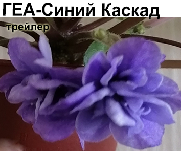 ГЕА-Синий Каскад (Е.Галицкая)  НОВИНКА