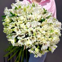 Букет из 39 Белых Альстромерий