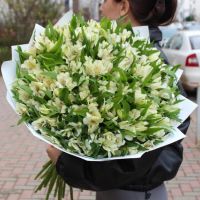 Букет из 51 Белой Альстромерии