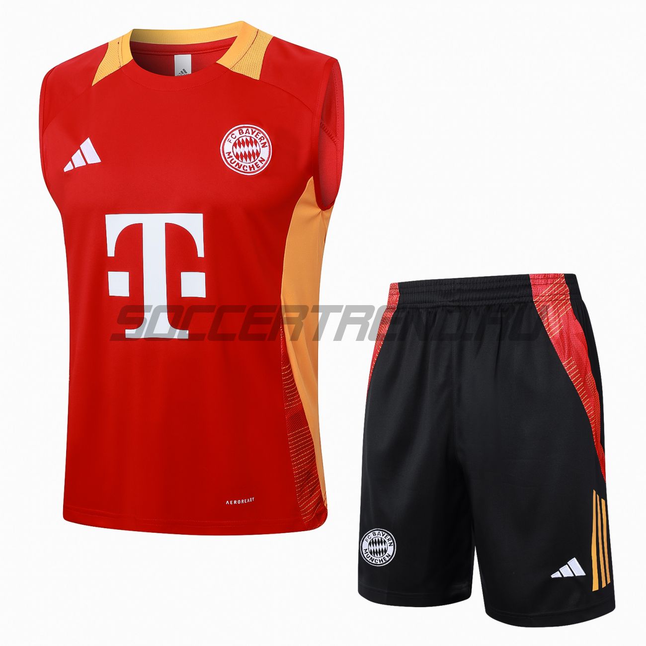 Тренировочный комплект Bayern Munich 24/25