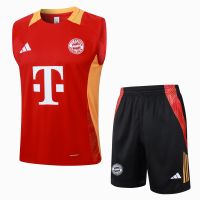 Тренировочный комплект Bayern Munich 24/25
