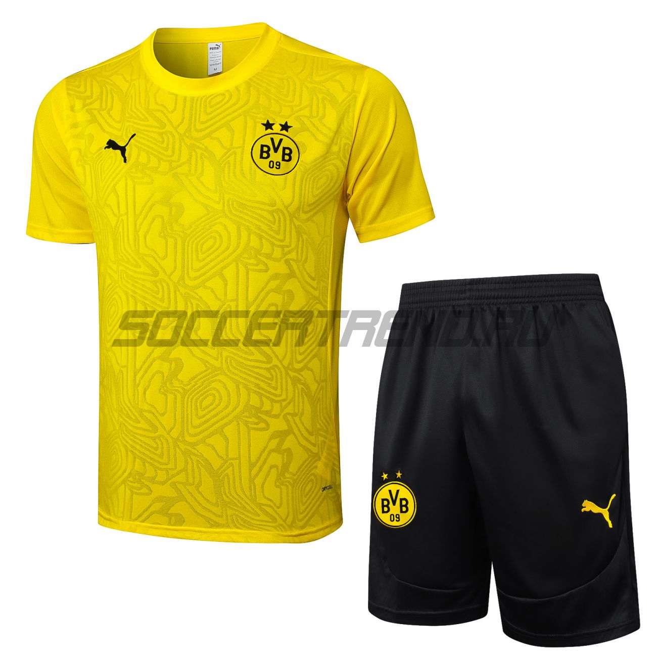 Тренировочный комплект Borussia Dortmund 24/25