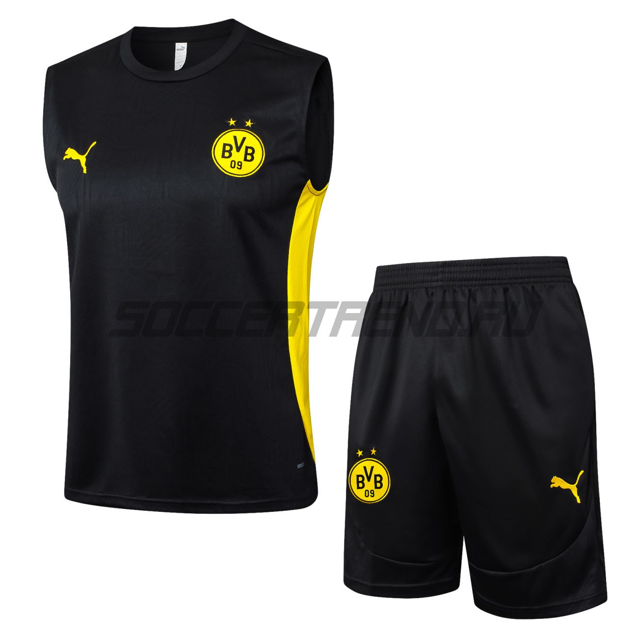 Тренировочный комплект Borussia Dortmund 24/25