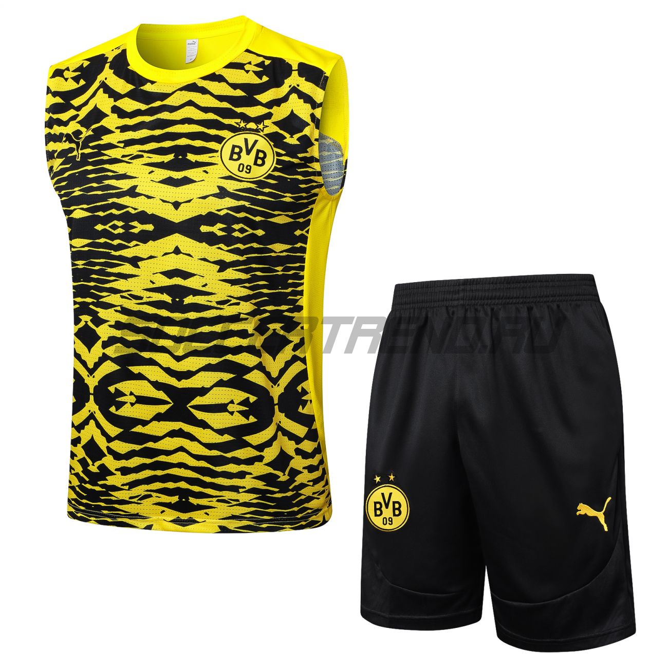 Тренировочный комплект Borussia Dortmund 24/25