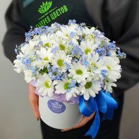 Незабудки и ромашки в шляпной коробке