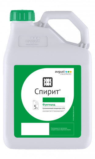 Спирит, СК