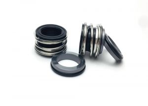 Торцевое уплотнение  MG1-G4-035-BQ1EGG