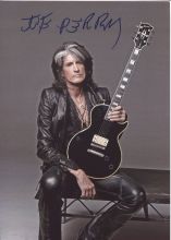 Автограф: Джо Перри. Aerosmith. Hollywood Vampires
