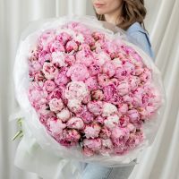 101 пион (сорт Сара Бернард)